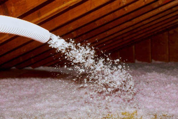 Best Home Insulation Services  in Oswego, NY