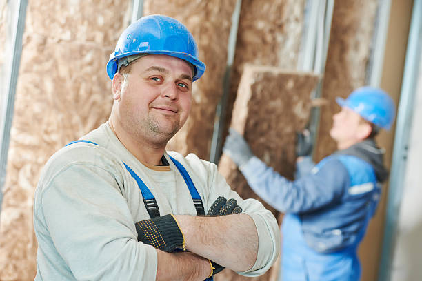 Best Insulation Replacement Services  in Oswego, NY